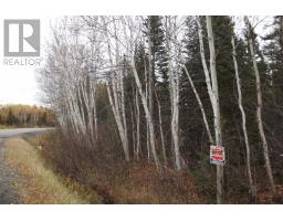 34 60 Rattling Brook Road, Norris Arm, NL A0G3M0 Photo 4