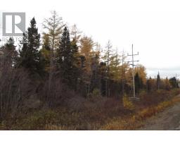 34 60 Rattling Brook Road, Norris Arm, NL A0G3M0 Photo 6