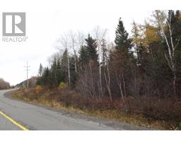 34 60 Rattling Brook Road, Norris Arm, NL A0G3M0 Photo 7