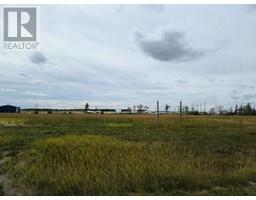 95 Knox Road, Rural Northern Sunrise County, AB T8S1R7 Photo 4