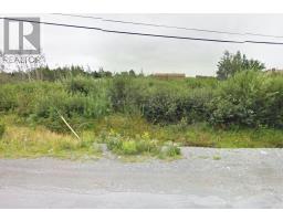 17 Country Road, Bay Roberts, NL A0A1G0 Photo 3