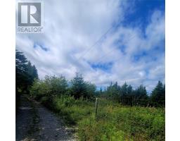 30 Cathill Road, Bay Roberts, NL A0A1G0 Photo 2