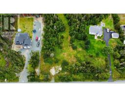 270 272 Witch Hazel Road, Portugal Cove St Philips, NL A1M1T6 Photo 3