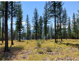 Lot 18 Forest Crowne Drive, Kimberley, BC V1A0A5 Photo 7