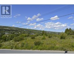 12 Hayden Heights, Carbonear, NL A1Y1A6 Photo 2