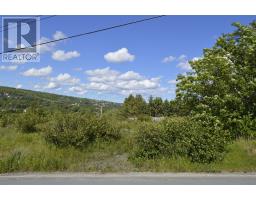 12 Hayden Heights, Carbonear, NL A1Y1A6 Photo 3