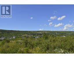 12 Hayden Heights, Carbonear, NL A1Y1A6 Photo 5
