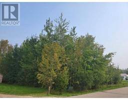 5404 Spruce Avenue, Wandering River, AB T0A3M0 Photo 3
