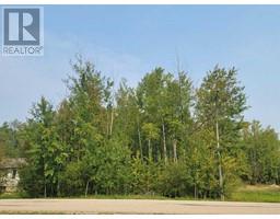 5404 Spruce Avenue, Wandering River, AB T0A3M0 Photo 5