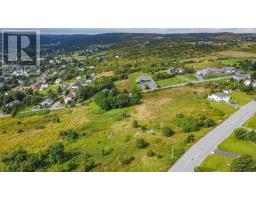 21 Moores Hill, Carbonear, NL A1Y1A8 Photo 3