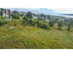 21 Moores Hill, Carbonear, NL A1Y1A8 Photo 5