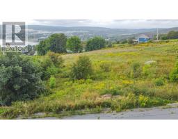 21 Moores Hill, Carbonear, NL A1Y1A8 Photo 7