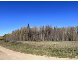Lot 3 Forest Road Rr 214, Rural Athabasca County, AB T9S1C4 Photo 6