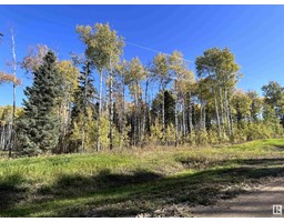 Lot 7 Forest Road Rr 214, Rural Athabasca County, AB T9S1C4 Photo 2
