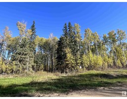 Lot 5 Forest Road Rr 214, Rural Athabasca County, AB T9S1C4 Photo 2