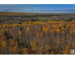 22 654036 Rge Rd 222, Rural Athabasca County, AB T9S2A9 Photo 5