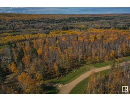 22 654036 Rge Rd 222, Rural Athabasca County, AB T9S2A9 Photo 6