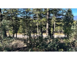 Lot 20 Crooked Tree Place, Fairmont Hot Springs, BC V0B1L2 Photo 3