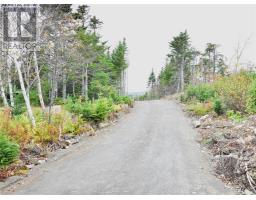 Lot 5 Second Pond Road, Shearstown Buttlerville, NL A0A1G0 Photo 2