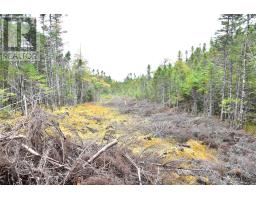 Lot 5 Second Pond Road, Shearstown Buttlerville, NL A0A1G0 Photo 3