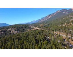 8495 Dincey Road, Radium Hot Springs, BC V0A1M0 Photo 3