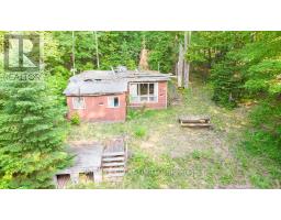 1545 Meteorite Lake Rd, Highlands East, ON K0L2A0 Photo 6