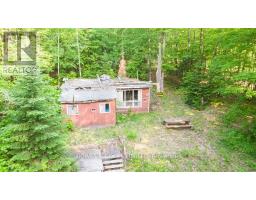 1545 Meteorite Lake Rd, Highlands East, ON K0L2A0 Photo 7