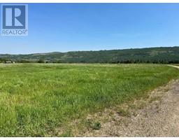 On River Lot 40 East Of Highway 684 Shaftsbury Trail Highway, Peace River, AB T8S1X4 Photo 6