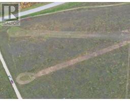 On River Lot 40 East Of Highway 684 Shaftsbury Trail Highway, Peace River, AB T8S1X4 Photo 7