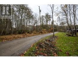 Lot 2 Connolly Rd, Lake Cowichan, BC V0R2G0 Photo 6