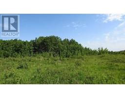 79 41 Acres Se 13 22 3 W 5, Rural Foothills County, AB T1S2T7 Photo 5