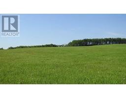 79 41 Acres Se 13 22 3 W 5, Rural Foothills County, AB T1S2T7 Photo 7