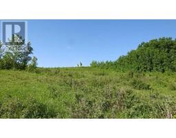 79 41 Acres Se 13 22 3 W 5, Rural Foothills County, AB T1S2T7 Photo 4