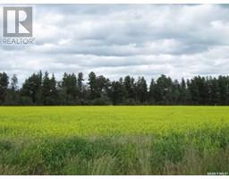 Lot 13 Country Residential 3 53 Acres, Nipawin Rm No 487, SK S0E1E0 Photo 2