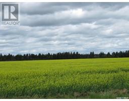 Lot 13 Country Residential 3 53 Acres, Nipawin Rm No 487, SK S0E1E0 Photo 4