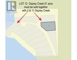 Lot 12 Osprey Creek Pitt Lake, Pitt Meadows, BC V0V0V0 Photo 4