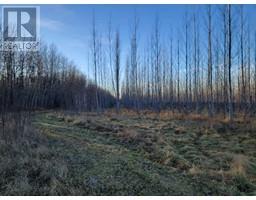 Nse 9 66 20 W 4, Rural Athabasca County, AB T9S2B4 Photo 6