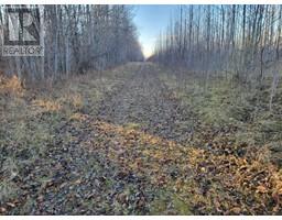 Nse 9 66 20 W 4, Rural Athabasca County, AB T9S2B4 Photo 4