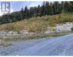 Lot 10 Rue De La Tour, Edmundston, NB E3V0G8 Photo 5