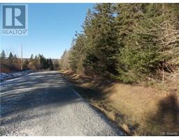 0 Collier Mountain Road, Elgin, NB E4Z1R6 Photo 2
