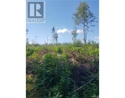Lot 1 Clearwater Brook Road, Astle, NB E6A1P9 Photo 3