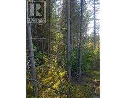 Lot 1 Clearwater Brook Road, Astle, NB E6A1P9 Photo 4
