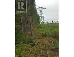 Lot 1 Clearwater Brook Road, Astle, NB E6A1P9 Photo 6
