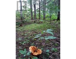 Lot Clearwater Brook Road, Astle, NB E6A1P9 Photo 4