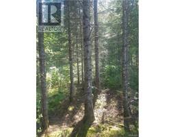 Lot Clearwater Brook Road, Astle, NB E6A1P9 Photo 3