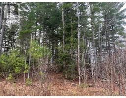Lot 1 Route 105, Youngs Cove, NB E4C2C2 Photo 4