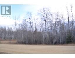 Corner Lot 2 Twp 850, Rural Northern Lights County Of, AB T9S1S4 Photo 3