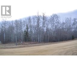 Corner Lot 2 Twp 850, Rural Northern Lights County Of, AB T9S1S4 Photo 4