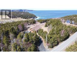 20 Old Pine Line, Logy Bay Middle Cove Outer Cove, NL A1B3K3 Photo 2