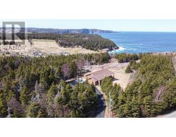 20 Old Pine Line, Logy Bay Middle Cove Outer Cove, NL A1B3K3 Photo 5